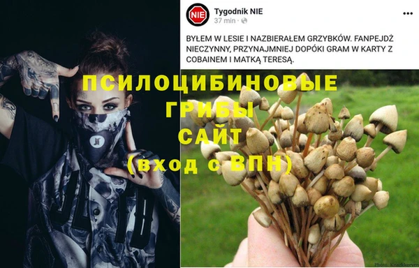 мескалин Заводоуковск