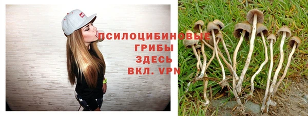 ешки Сосновый Бор